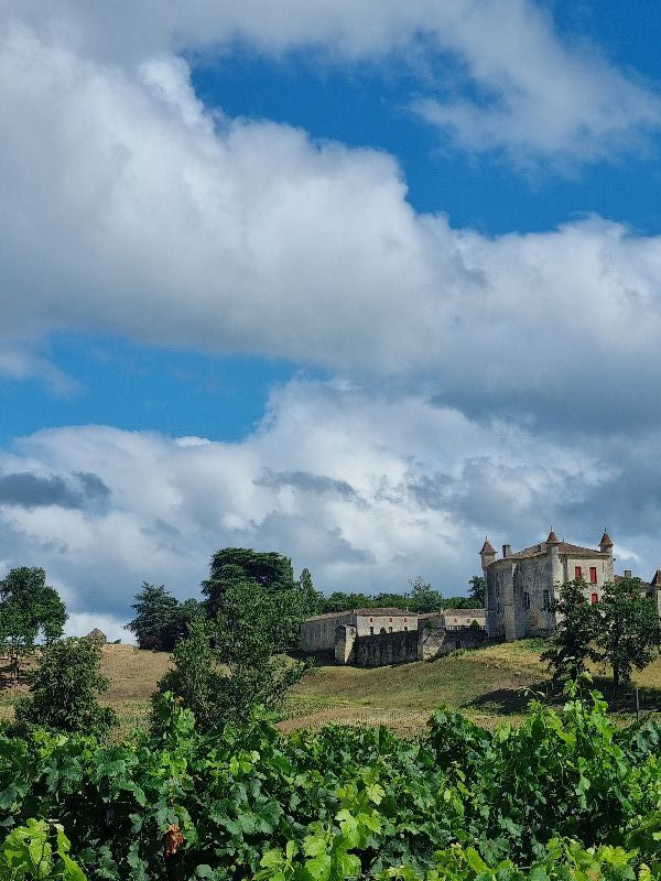 Saint Emilion.jpg